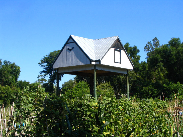 Gainesville-Bat-House-06