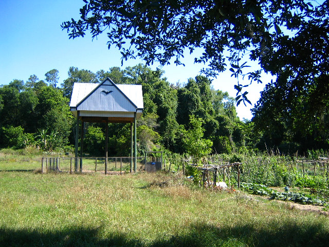 Gainesville-Bat-House-07