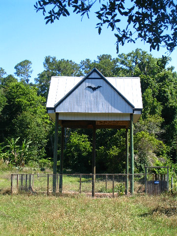 Gainesville-Bat-House-08