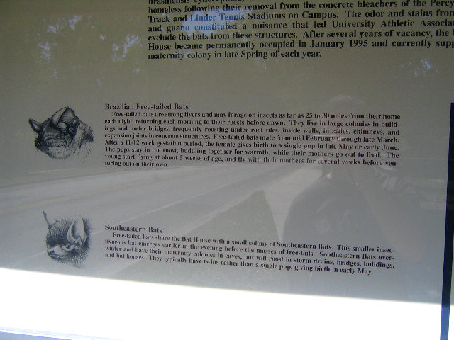 Gainesville-Bat-House-10