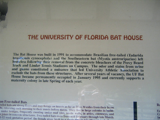 Gainesville-Bat-House-12