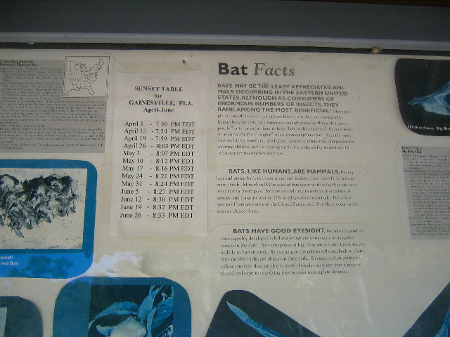 Gainesville-Bat-House-15