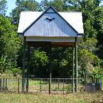 University of Florida Bat House Pictures