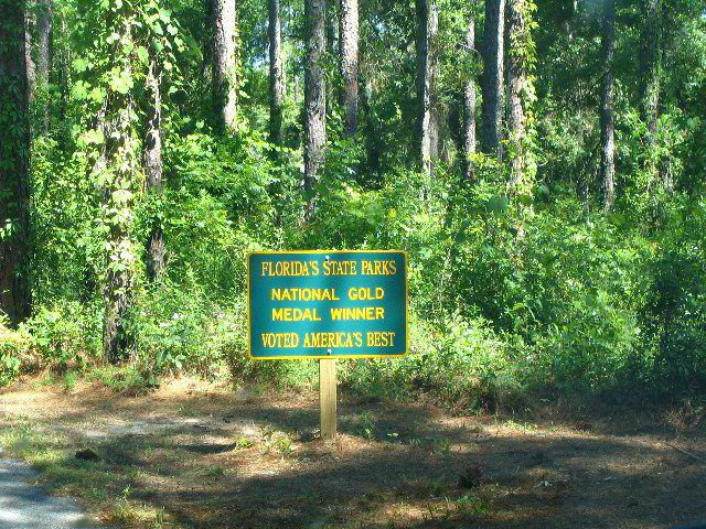 Devils-Millhopper-Gainesville-02