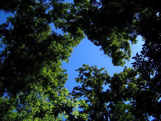 Devils-Millhopper-Gainesville-13