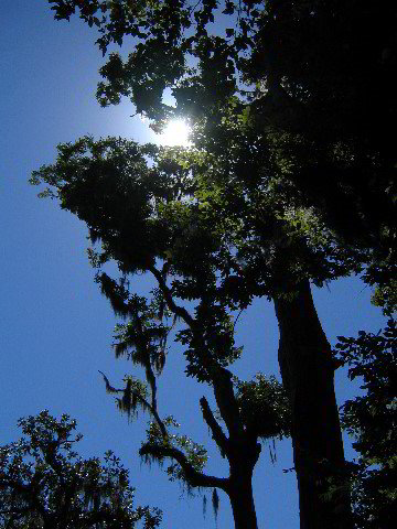Devils-Millhopper-Gainesville-21