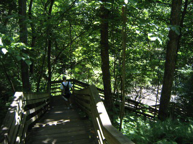 Devils-Millhopper-Gainesville-30