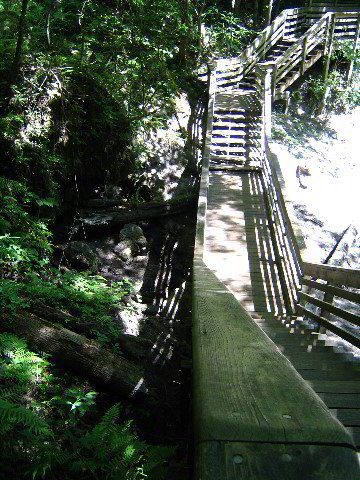Devils-Millhopper-Gainesville-43
