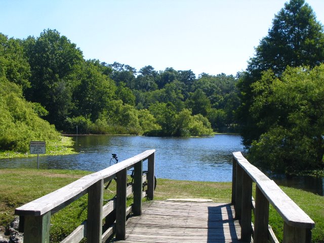 Lake-Alice-Gainesville-2006-03