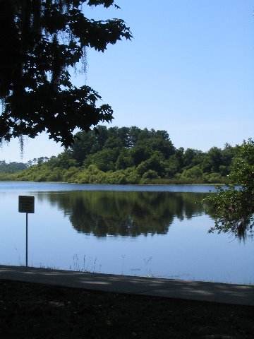 Lake-Alice-Gainesville-2006-07