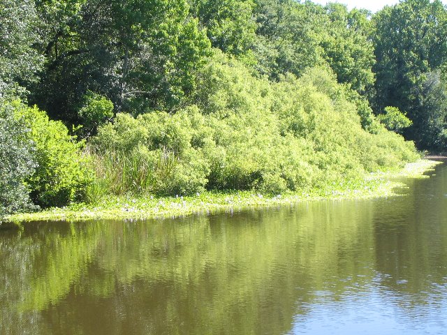 Lake-Alice-Gainesville-2006-20