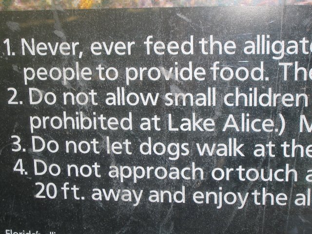 Lake-Alice-Gainesville-2006-22
