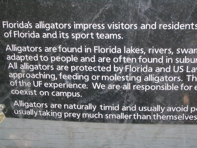 Lake-Alice-Gainesville-2006-23