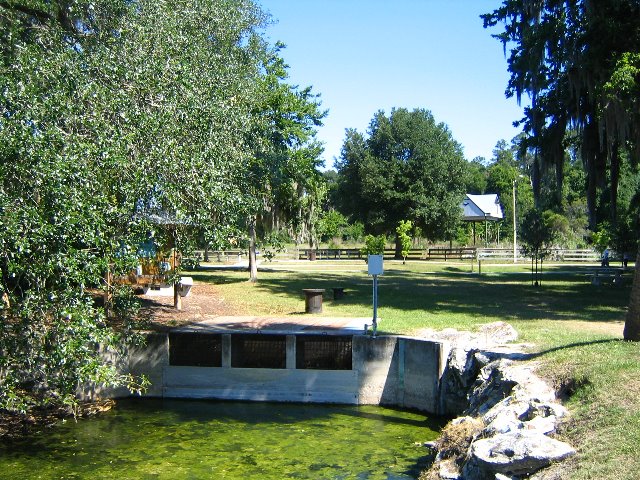 Lake-Alice-Gainesville-2006-27
