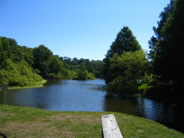 Lake-Alice-Gainesville-2006-30