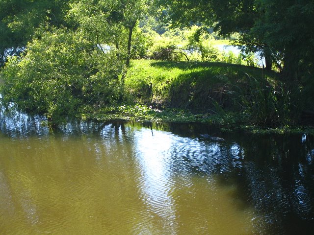 Lake-Alice-Gainesville-2006-36
