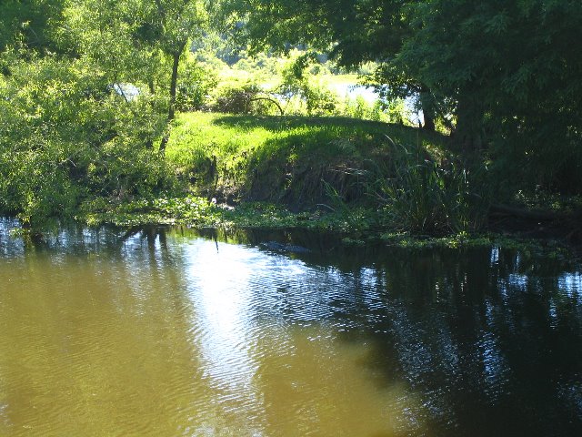 Lake-Alice-Gainesville-2006-37