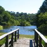 Lake Alice Pictures - Gainesville, FL - May 2006