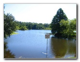 Lake-Alice-Gainesville-2006-01