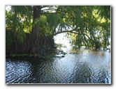 Lake-Alice-Gainesville-2006-26