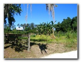 Gainesville-Student-Agricultural-Gardens-04