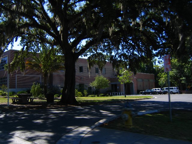 University-of-Florida-Gainesville-20