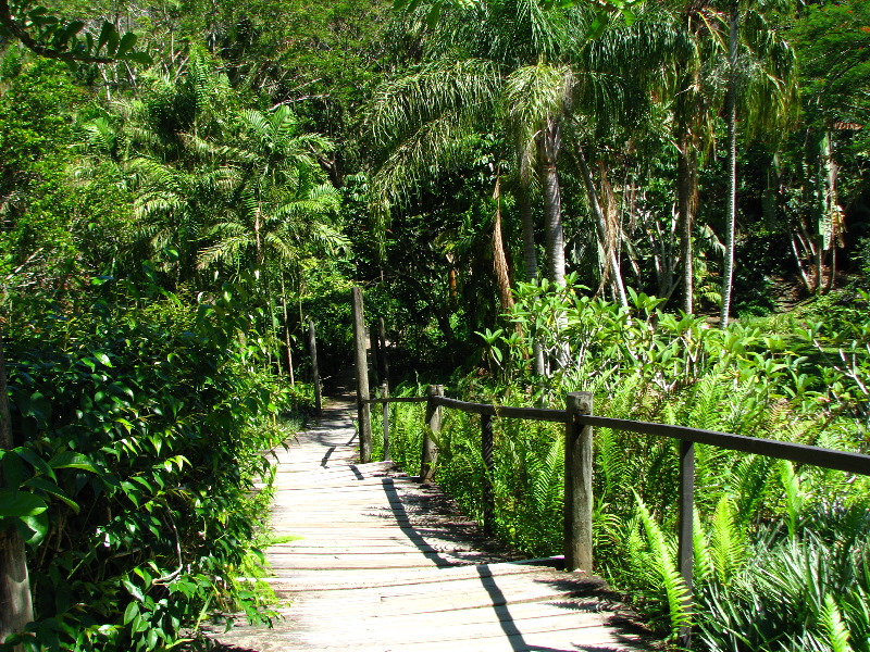 Garden-of-the-Sleeping-Giant-Nadi-Viti-Levu-Fiji-004