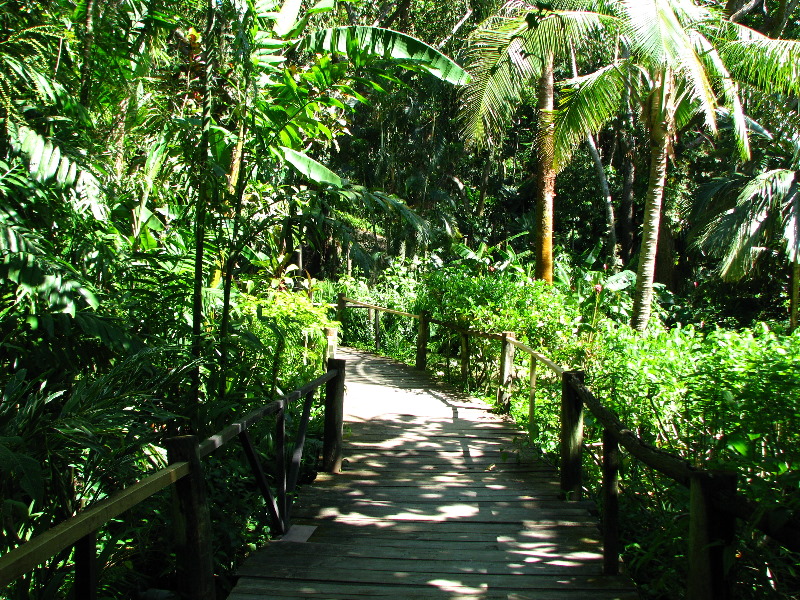 Garden-of-the-Sleeping-Giant-Nadi-Viti-Levu-Fiji-010