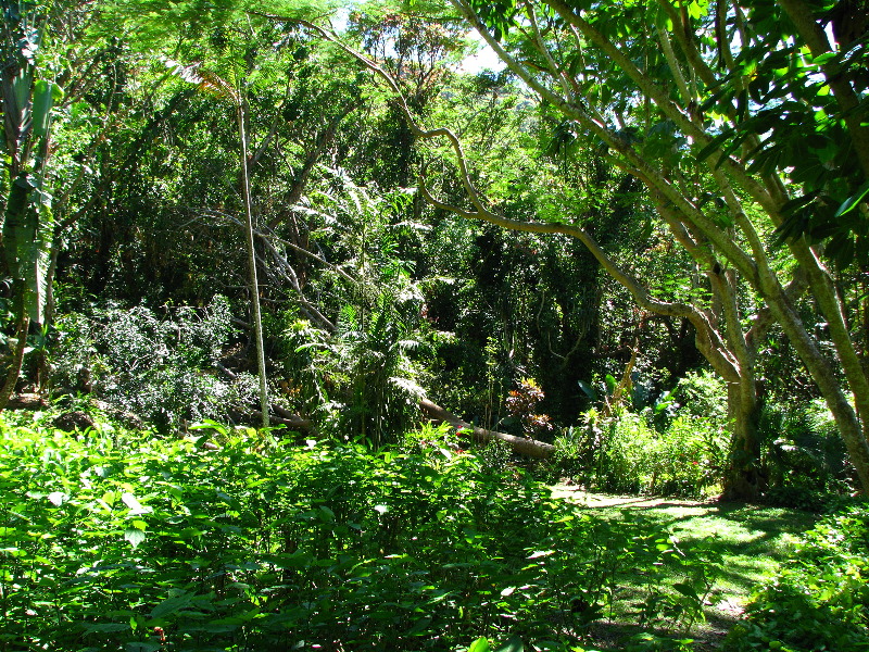 Garden-of-the-Sleeping-Giant-Nadi-Viti-Levu-Fiji-011