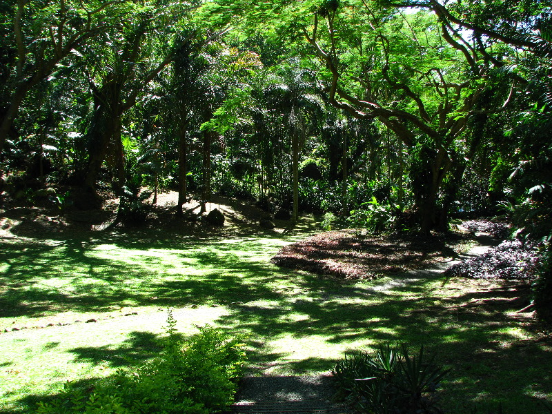 Garden-of-the-Sleeping-Giant-Nadi-Viti-Levu-Fiji-042