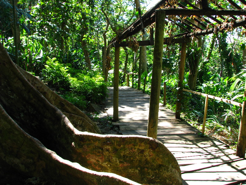 Garden-of-the-Sleeping-Giant-Nadi-Viti-Levu-Fiji-060