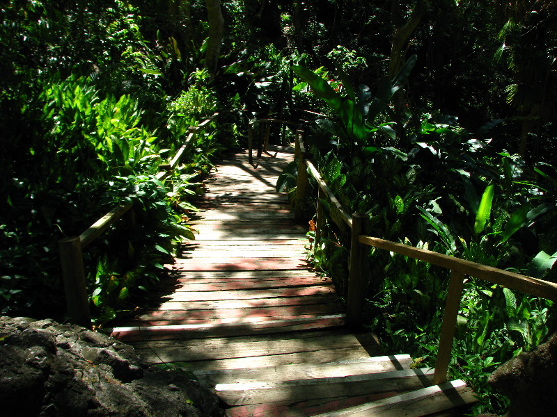 Garden-of-the-Sleeping-Giant-Nadi-Viti-Levu-Fiji-067