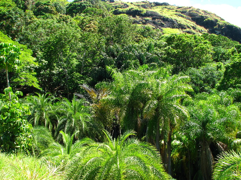 Garden-of-the-Sleeping-Giant-Nadi-Viti-Levu-Fiji-078