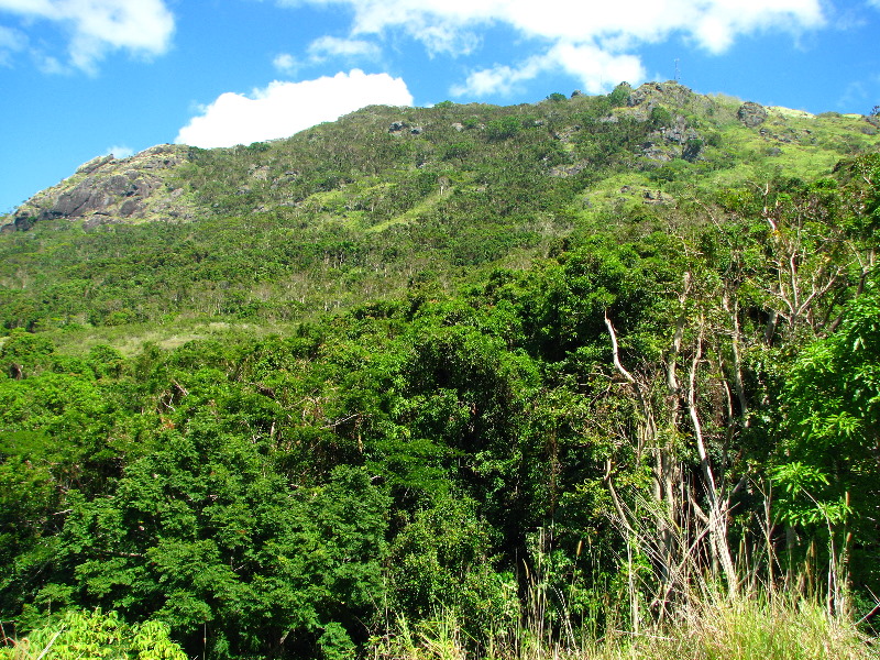Garden-of-the-Sleeping-Giant-Nadi-Viti-Levu-Fiji-080