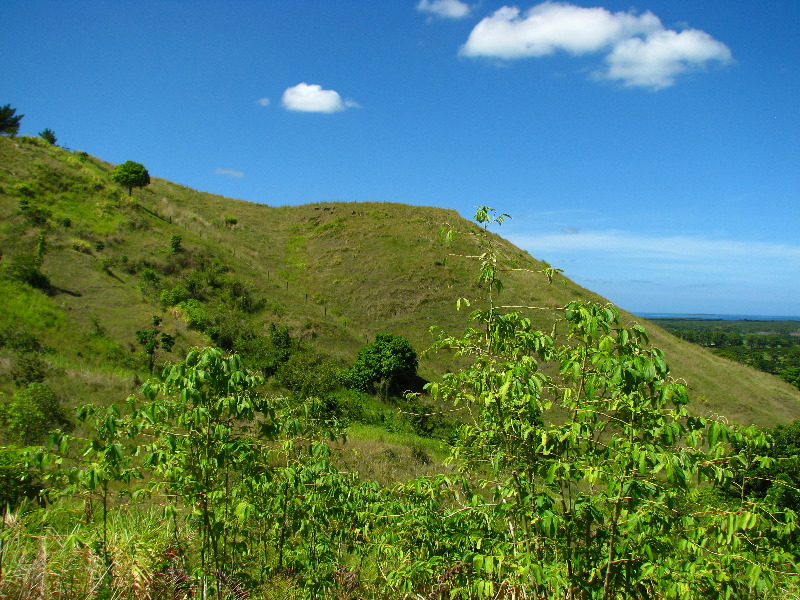 Garden-of-the-Sleeping-Giant-Nadi-Viti-Levu-Fiji-082
