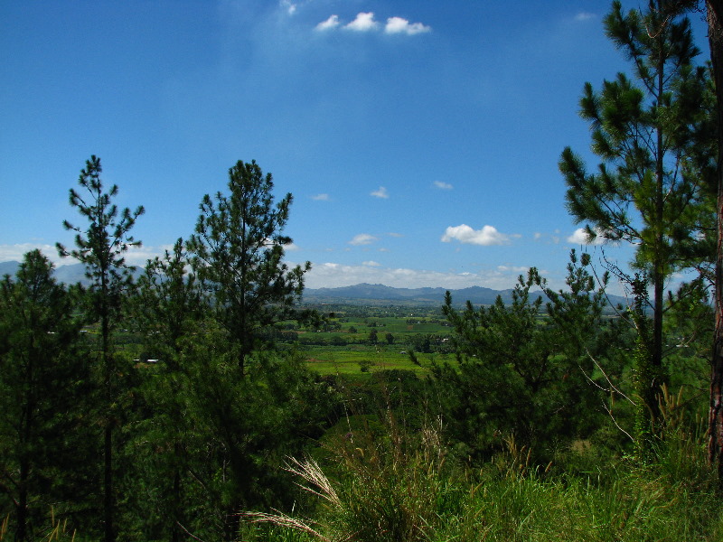 Garden-of-the-Sleeping-Giant-Nadi-Viti-Levu-Fiji-086