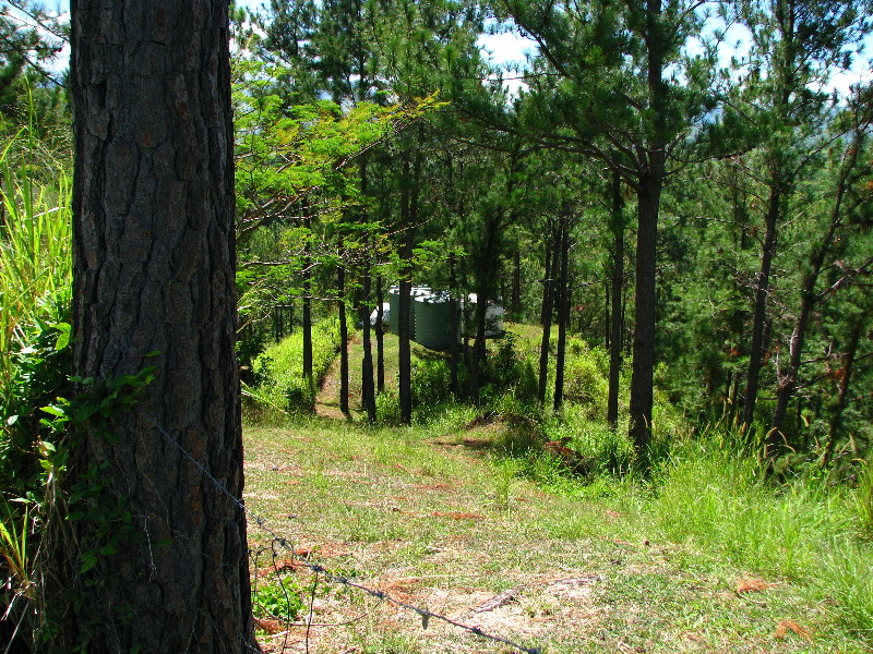 Garden-of-the-Sleeping-Giant-Nadi-Viti-Levu-Fiji-087