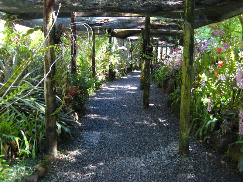 Garden-of-the-Sleeping-Giant-Nadi-Viti-Levu-Fiji-092