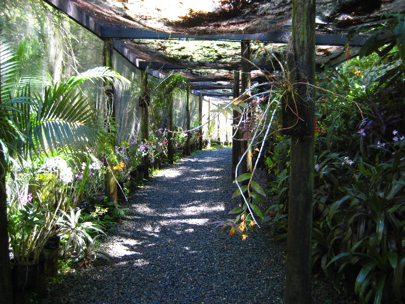 Garden-of-the-Sleeping-Giant-Nadi-Viti-Levu-Fiji-097