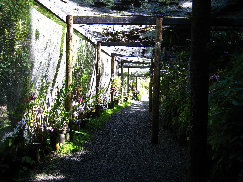 Garden-of-the-Sleeping-Giant-Nadi-Viti-Levu-Fiji-102