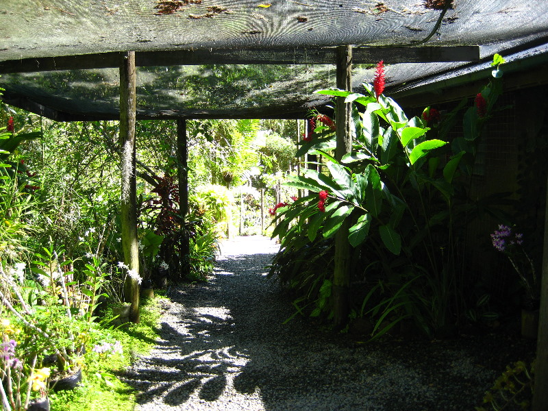 Garden-of-the-Sleeping-Giant-Nadi-Viti-Levu-Fiji-109