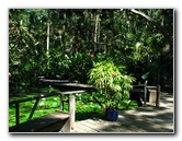 Garden-of-the-Sleeping-Giant-Nadi-Viti-Levu-Fiji-014
