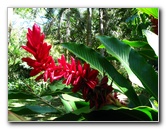 Garden-of-the-Sleeping-Giant-Nadi-Viti-Levu-Fiji-037
