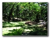 Garden-of-the-Sleeping-Giant-Nadi-Viti-Levu-Fiji-042