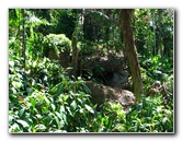 Garden-of-the-Sleeping-Giant-Nadi-Viti-Levu-Fiji-064