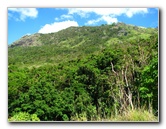 Garden-of-the-Sleeping-Giant-Nadi-Viti-Levu-Fiji-080