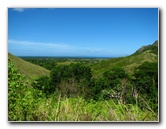 Garden-of-the-Sleeping-Giant-Nadi-Viti-Levu-Fiji-081