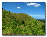 Garden-of-the-Sleeping-Giant-Nadi-Viti-Levu-Fiji-082