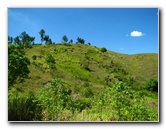 Garden-of-the-Sleeping-Giant-Nadi-Viti-Levu-Fiji-083