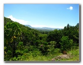 Garden-of-the-Sleeping-Giant-Nadi-Viti-Levu-Fiji-084